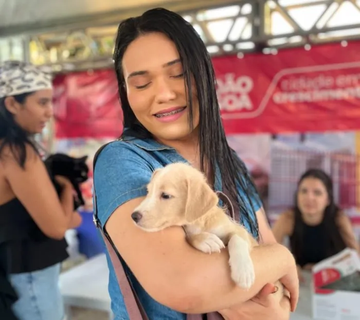 Secretaria de Cuidado e Proteção Animal promove evento de adoção responsável de animais