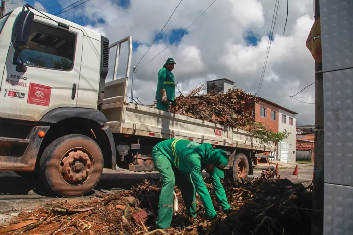 Coleta de resíduos de poda de árvores atende moradores de 15 bairros nesta quarta-feira