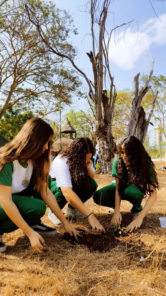 Blitz, plantio de mudas e limpeza do Rio Poti marcam ação pelo Dia da Árvore e Dia Mundial da Limpeza