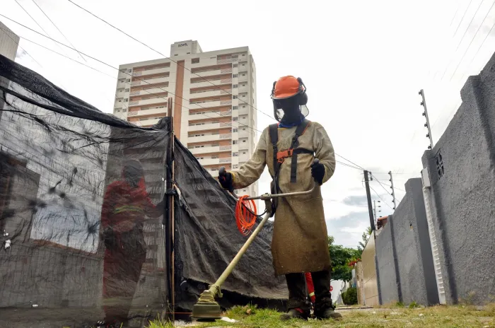 Ao longo da semana, Emlur contempla 17 bairros com ações de conservação