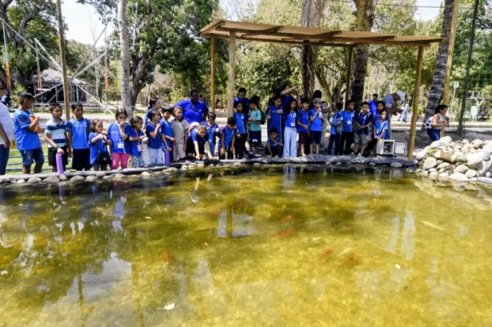 Foto: Reprodução/Secom Piauí