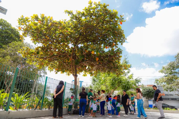 Ação de educação ambiental é realizada em celebração ao Dia da Árvore em Caruaru