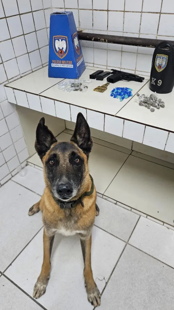 Ações do 6º BPM resultam em apreensões de armas, drogas e detenções na Serra