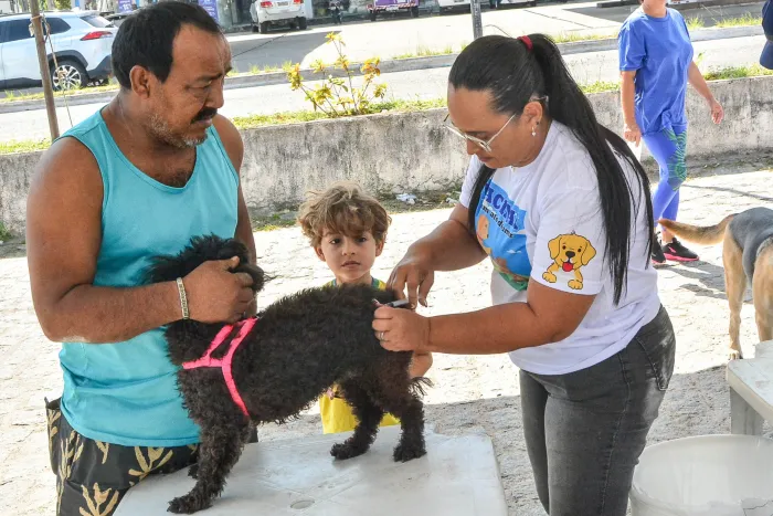 João Pessoa realiza Dia D de vacinação contra a raiva animal no próximo sábado