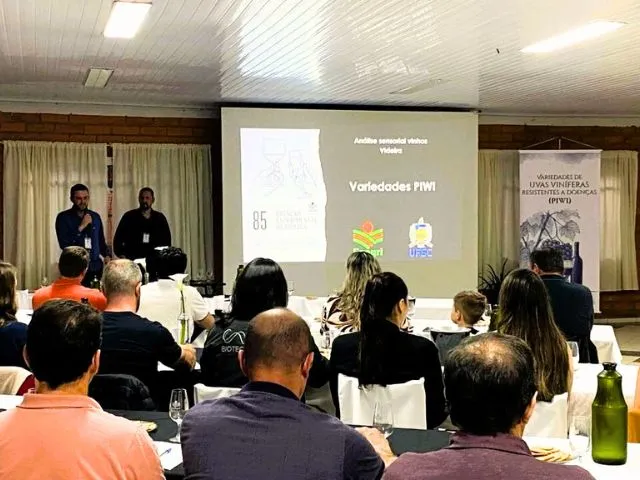 Epagri realiza análise sensorial de vinhos elaborados com uvas resistentes a doenças