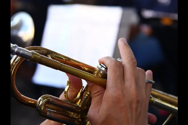 Foto: Reprodução/Prefeitura de São Sebastião - SP