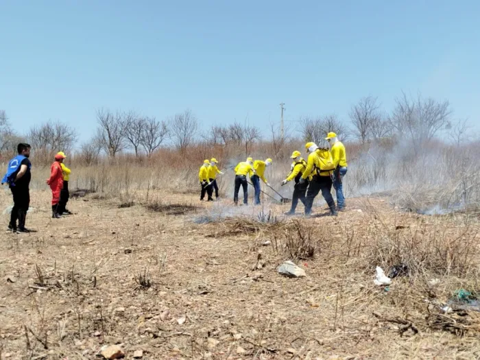 Piauí amplia efetivo de combate ao fogo com certificação de 150 brigadistas nesta sexta (26), em Angical