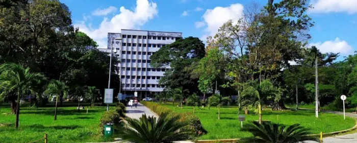 Foto: Reprodução/Sec. de Saúde de Pernambuco