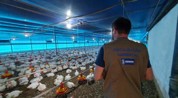 Adema vistoria licenciamento em granja localizada no município de Boquim