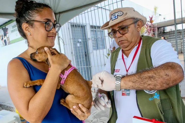 População de João Pessoa aproveita ‘Dia D’ de vacinação antirrábica e imuniza cães e gatos