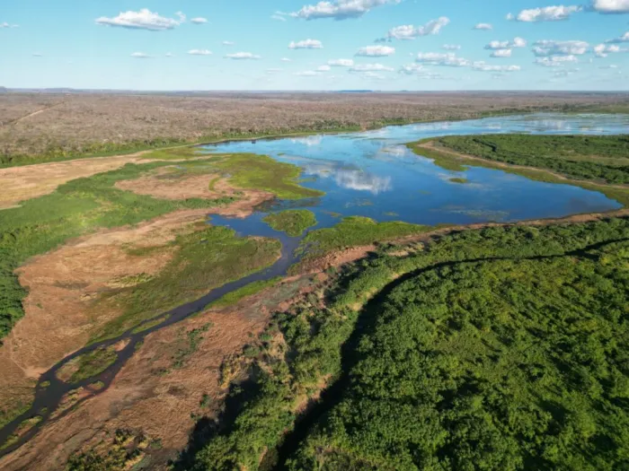 Dia Mundial dos Rios: Piauí reforça preservação de nascentes e repovoamento de peixes nativos