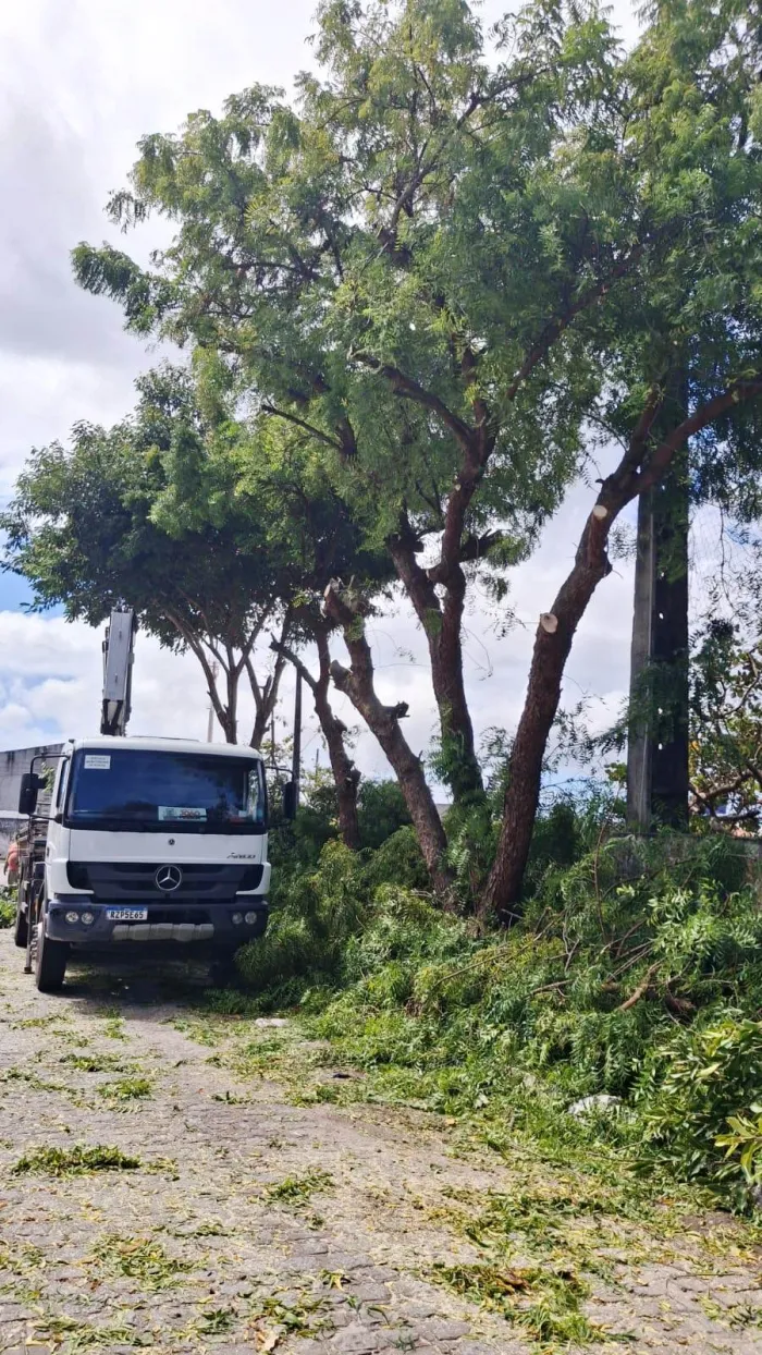 Sedurb inicia a semana realizando podas de árvores no Jardim São Paulo e Mangabeira