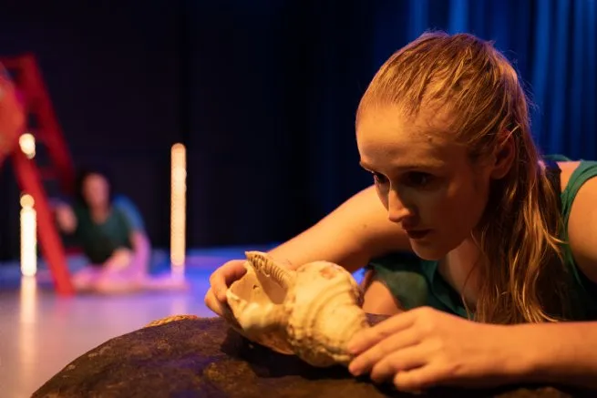 Foto: Reprodução/Prefeitura de São Sebastião - SP