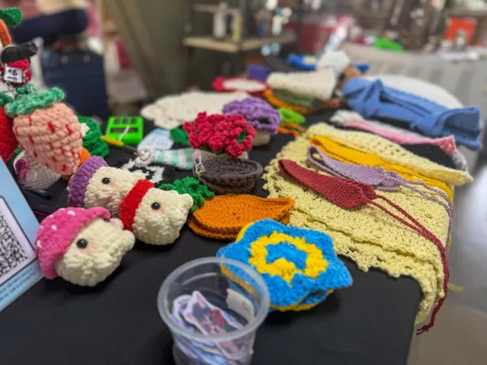 Foto: Reprodução/Secom Piauí