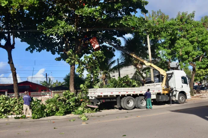 Serviços de podas de árvores acontecem em Tambauzinho e Bairro dos Ipês nesta terça-feira