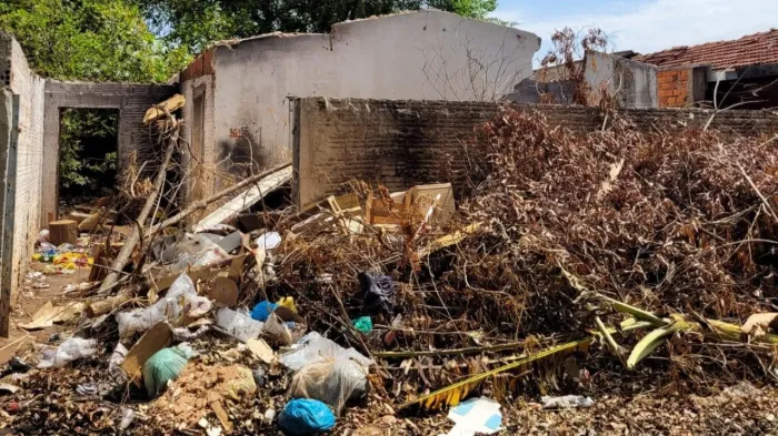 Vig Ambiental mira imóveis abandonados no combate a pragas urbanas