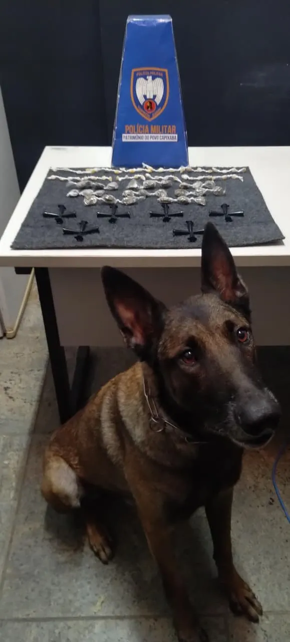 Polícia Militar realiza prisão, apreensão de drogas e recuperação de produtos furtados em Guarapari