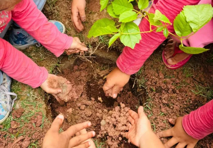 Alunos do CIEM III realizam plantio de mudas de espécies nativas na continuidade do projeto “Plantando o Futuro”