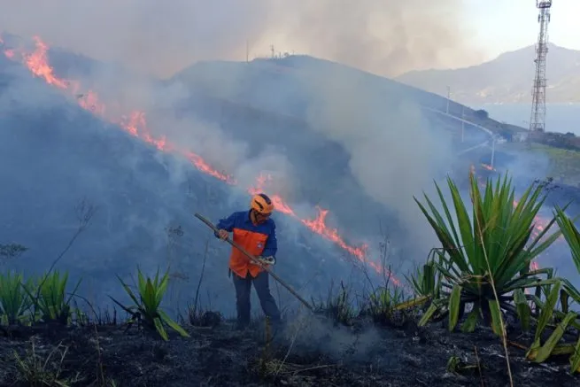 Foto: Reprodução/Prefeitura de São Sebastião - SP