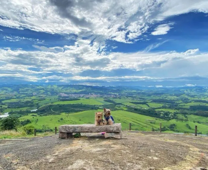Academia do Turismo: Setur-SP lança concurso público para identificar novas soluções no turismo