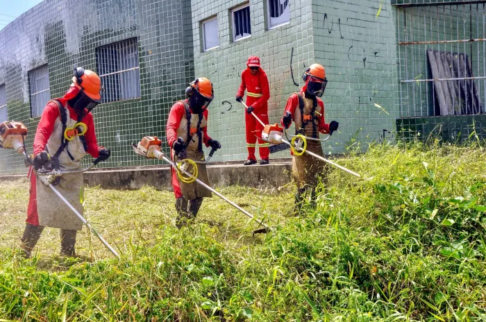Serviços de limpeza e conservação executados pela Emlur contemplam mais de 30 bairros