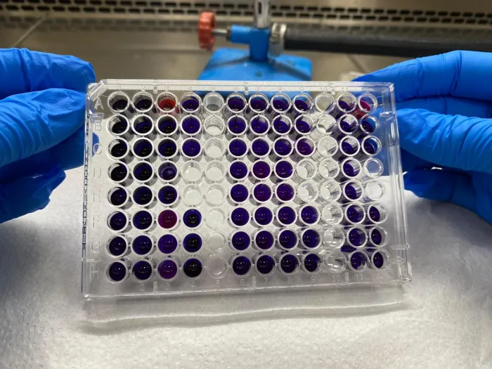 Fapema divulga resultado final do Edital Plano Maranhão 2050 com 71 selecionados
