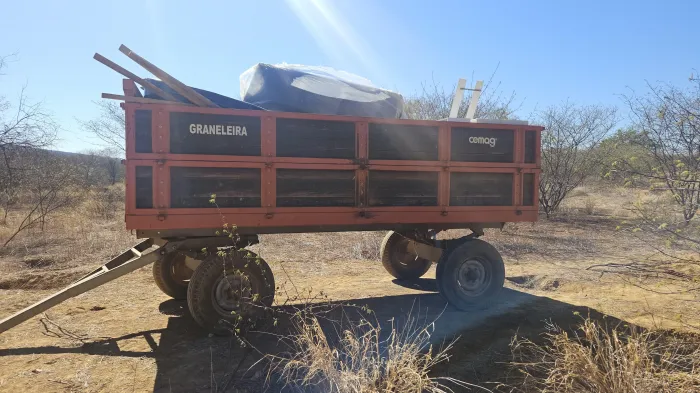 Polícia Civil desarticula produção de maconha em quatro hectares de terra