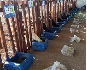 Foto: Reprodução/Secom Paraíba