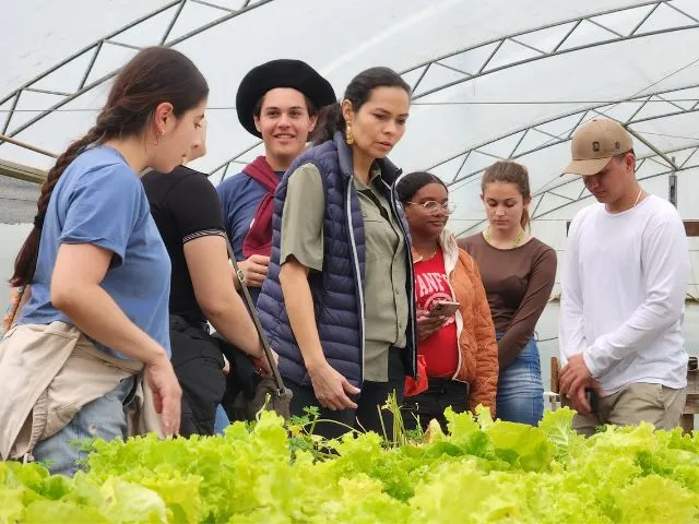 Foto: Reprodução/Secom SC