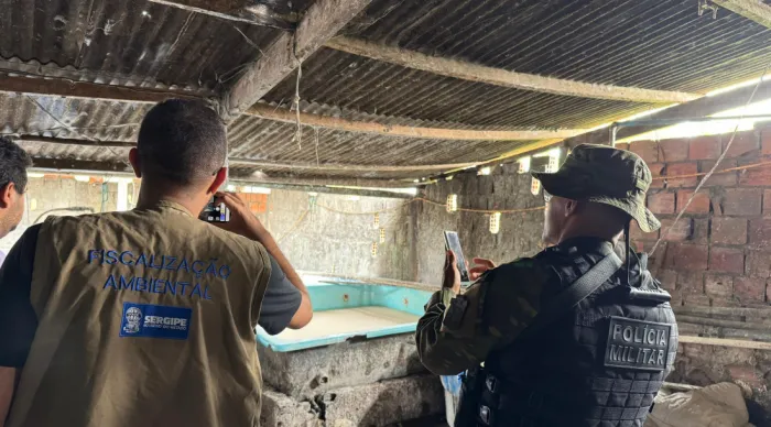 Adema interdita produção não licenciada de farinha de tapioca em Salgado