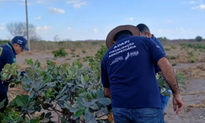 Foto: Reprodução/Secom Piauí