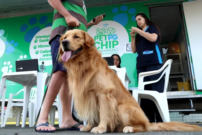 ‘Pet PG Chip’ chega ao Bairro Boqueirão no próximo sábado (4)