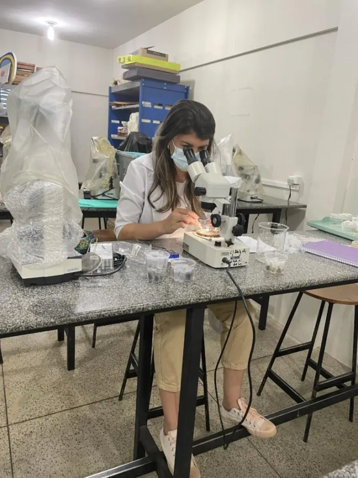 No Dia da Abelha, Uespi destaca pesquisas que fortalecem a produção de mel e a preservação ambiental