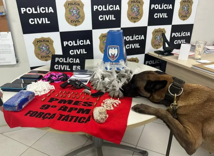 Polícia Militar apoia operação da PC e apreende drogas, munições e arma em Castelo