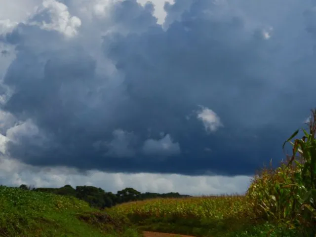 Agricultor familiar: saiba como obter documentos da Epagri/Ciram para comprovar prejuízos causados por ventos e tempestades