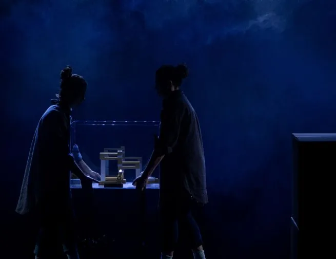 Foto: Reprodução/Prefeitura de São Sebastião - SP