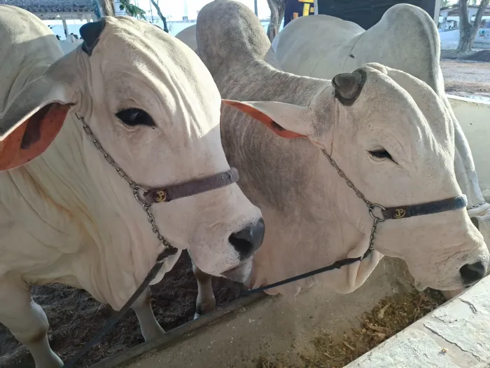 Foto: Reprodução/Secom Paraíba
