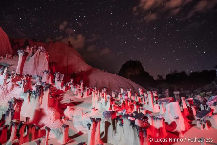 Poucas regiões do mundo exibem estruturas grandes como as descobertas em Goiás, que chegam até a três metros de altura (Foto: Lucas Ninno)