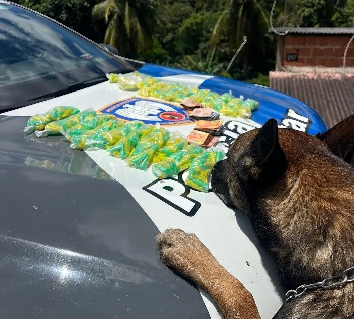 BAC apreende 644 pinos de cocaína durante operação na Serra