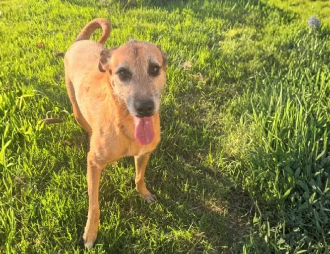 Foto: Reprodução/Prefeitura de São Sebastião - SP