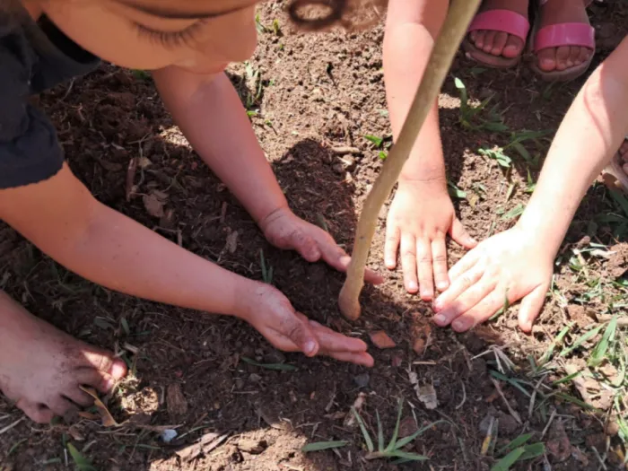 Projeto Plantando o Futuro realiza 11º plantio do ano em Atibaia
