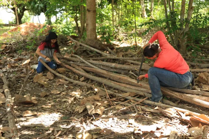 SAF amplia ações de sustentabilidade e educação do campo com entrega de equipamentos em Grajaú