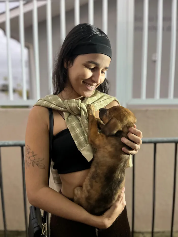 Prefeitura de João Pessoa promove evento de adoção responsável de animais no bairro de Mangabeira