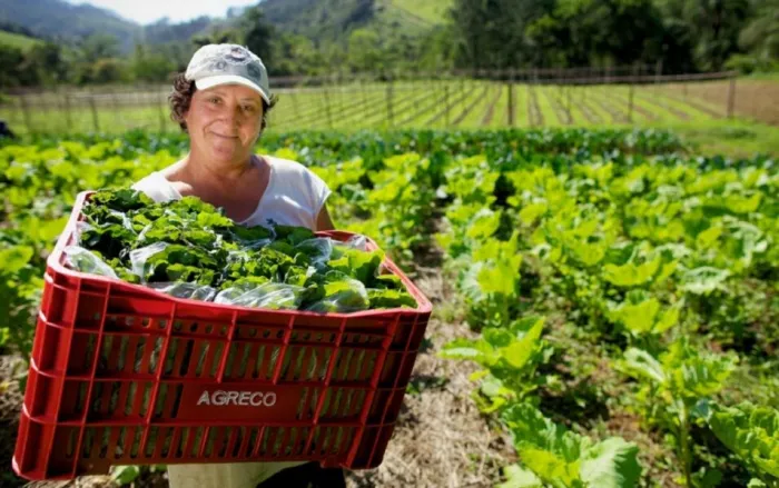 Foto: Reprodução/Secom Espírito Santo