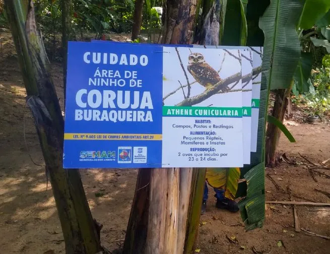 Foto: Reprodução/Prefeitura de São Sebastião - SP