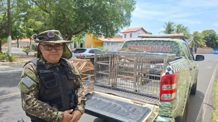 Polícia Militar resgata animais silvestres mantidos em cativeiro em Parnaíba