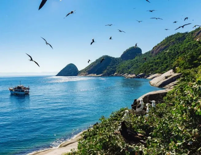 Foto: Reprodução/Prefeitura de São Sebastião - SP