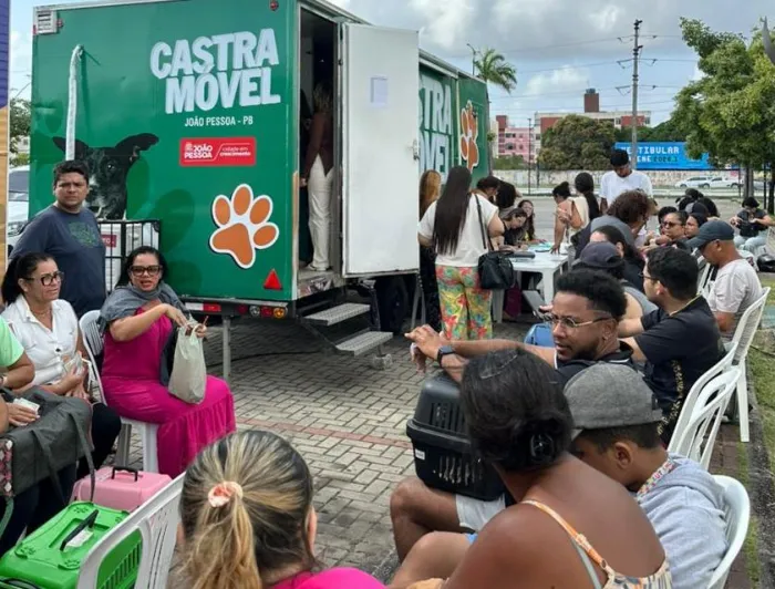 Prefeitura de João Pessoa oferta castrações para gatos machos durante ‘Caravana contra maus-tratos’