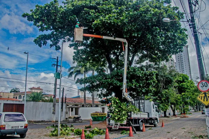 Serviços de podas de árvores acontecem nos bairros Portal do Sol e Manaíra
