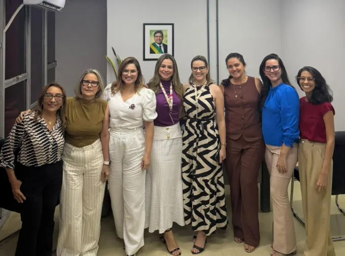 Foto: Reprodução/Secom Piauí